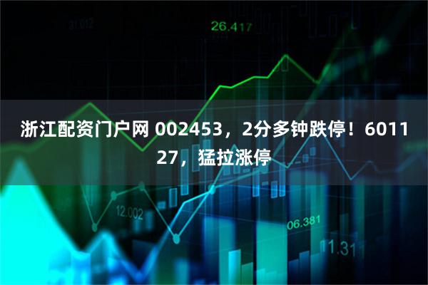 浙江配资门户网 002453,2分多钟跌停!601127,猛拉涨停